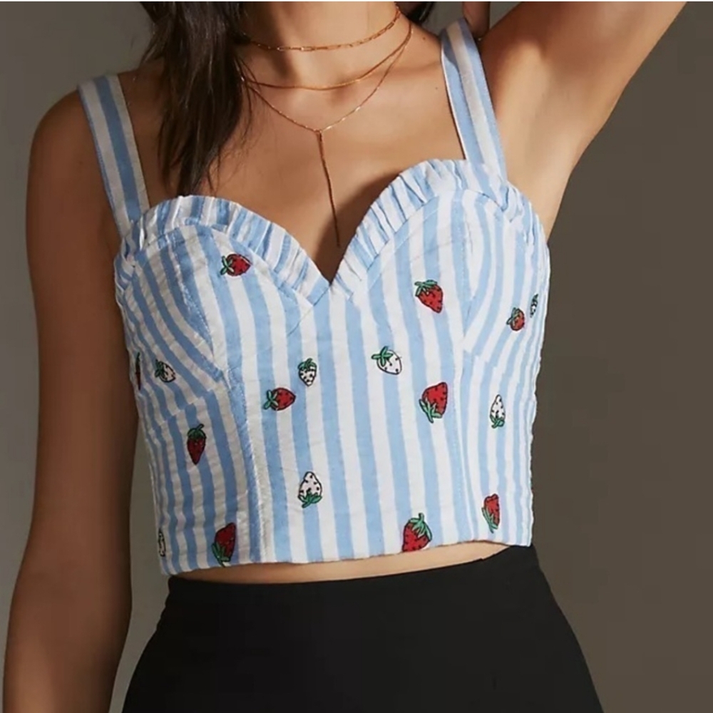 Anthropologie Blue and White Ruffled Bustier Crop Top